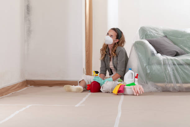 Reliable Mold Remediation contractor in Princeton Junction, NJ by Cheap Mold Removal